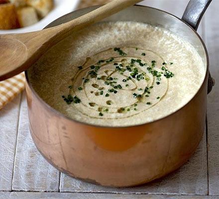 كريم من champignon حساء الصورة