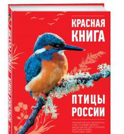 طيور الكتاب الأحمر من روسيا. رحلة الأمل