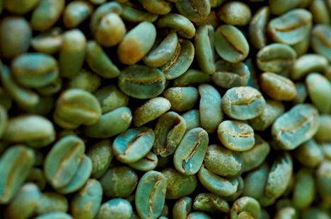 ملاحظات إيجابية وسلبية: القهوة الخضراء لفقدان الوزن - حلا سحريا أو العادية 